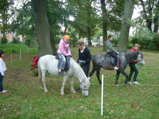 k640_dscf3028.jpg